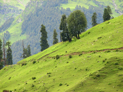 Salooni Travel Guide, Salooni village near chamba