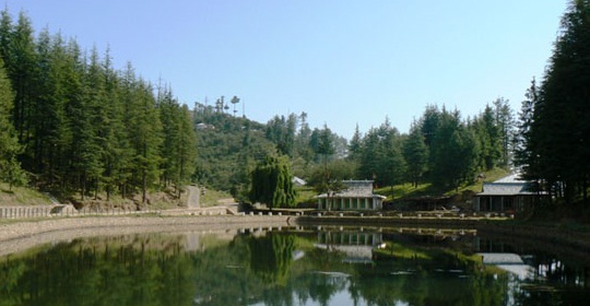 Thanedar Hill Station Near Shimla